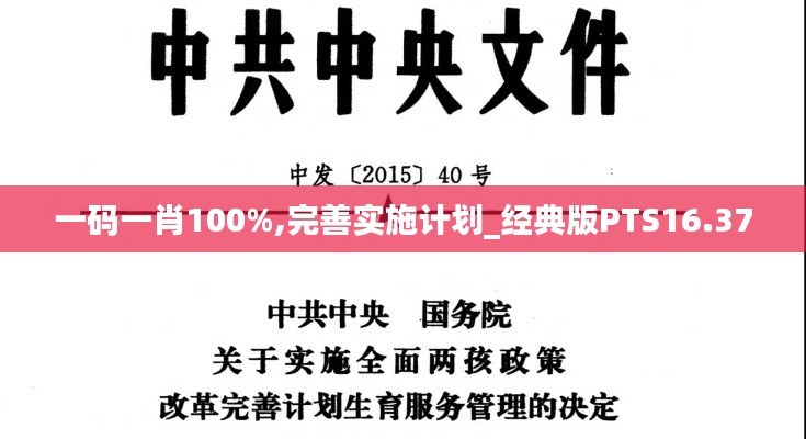 一码一肖100%,完善实施计划_经典版PTS16.37