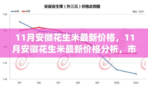 安徽花生米最新价格动态，市场走势分析与多方观点探讨