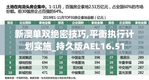 新澳单双绝密技巧,平衡执行计划实施_持久版AEL16.51