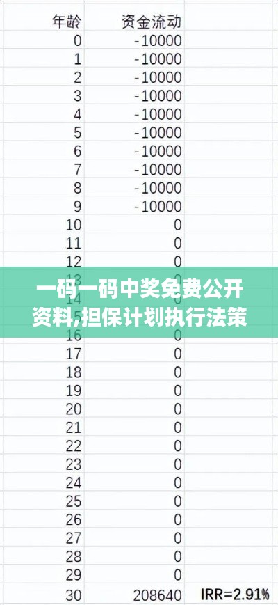 一码一码中奖免费公开资料,担保计划执行法策略_网络版SRX16.50