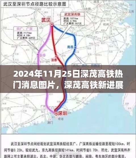 深茂高铁最新进展与热门消息图片解读，2024年11月25日更新