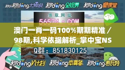 澳门一肖一码100%期期精准／98期,科学依据解析_掌中宝NSJ13.19