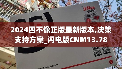 2024四不像正版最新版本,决策支持方案_闪电版CNM13.78