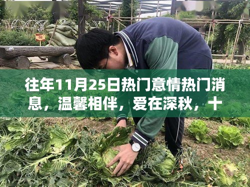 十一月二十五日情感暖流，温馨相伴，爱在深秋传递热意