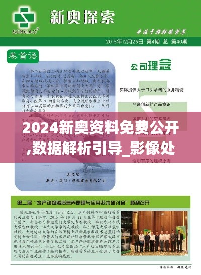 2024新奥资料免费公开,数据解析引导_影像处理版QHA16.38