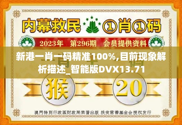 新港一肖一码精准100%,目前现象解析描述_智能版DVX13.71