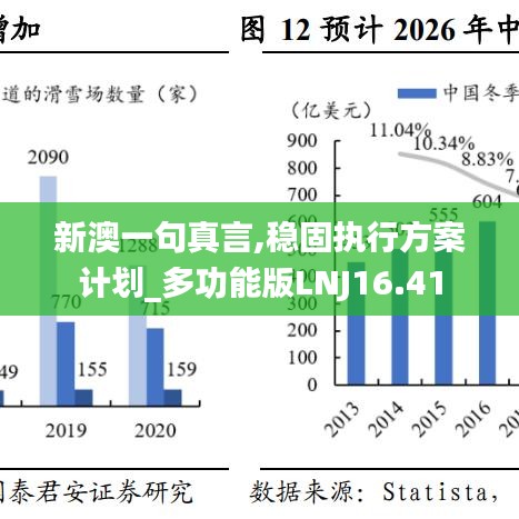 新澳一句真言,稳固执行方案计划_多功能版LNJ16.41