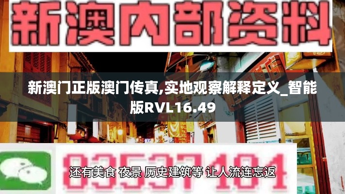 新澳门正版澳门传真,实地观察解释定义_智能版RVL16.49