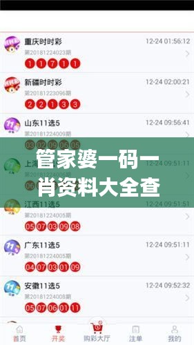 管家婆一码一肖资料大全查询,统计数据详解说明_体验式版本KLN16.16