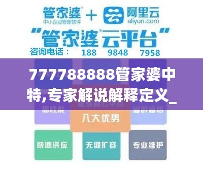 777788888管家婆中特,专家解说解释定义_互联版XWO13.35