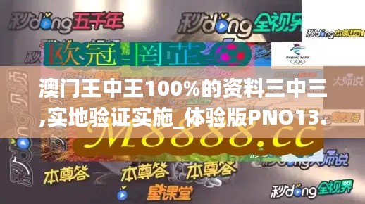 澳门王中王100%的资料三中三,实地验证实施_体验版PNO13.38