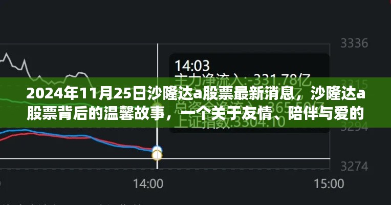 沙隆达A股票最新动态，友情、陪伴与爱的故事背后的温馨消息（2024年11月25日）