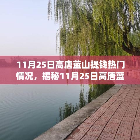 揭秘，高唐蓝山金融动态与市场趋势分析——11月25日提钱热门情况解读