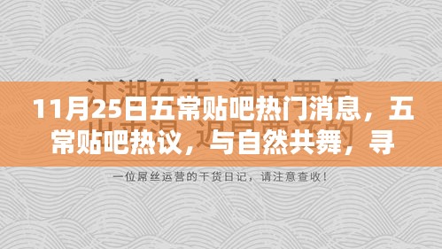 五常贴吧热议，与自然共舞，寻找心灵的宁静港湾（11月25日热门消息）