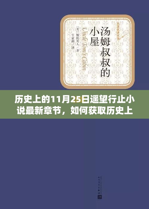 历史上的11月25日遥望行止小说最新章节获取指南及详细步骤