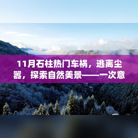 竭尽全力 第3页