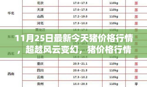 猪价格行情背后的励志故事，风云变幻中的最新今日猪价格行情解析