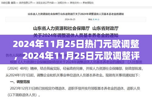 多维度视角下的观点碰撞与个人立场，深度评析2024年11月25日元歌调整