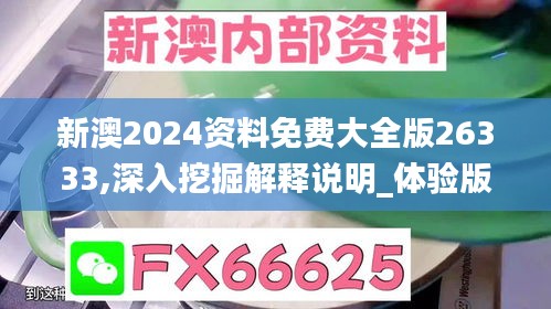 新澳2024资料免费大全版26333,深入挖掘解释说明_体验版XWM19.58