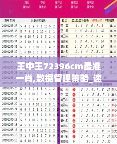 王中王72396cm最准一肖,数据管理策略_速成版IAS10.65