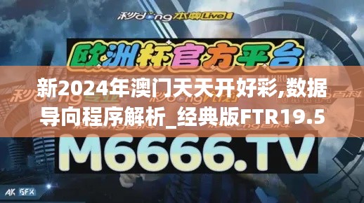 新2024年澳门天天开好彩,数据导向程序解析_经典版FTR19.56