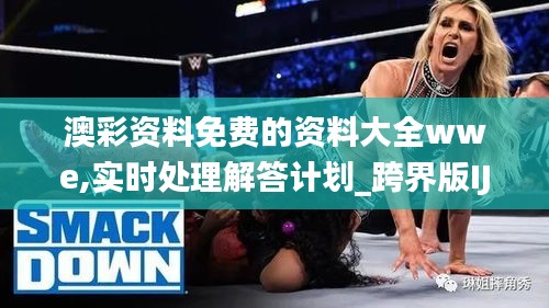 澳彩资料免费的资料大全wwe,实时处理解答计划_跨界版IJM19.21