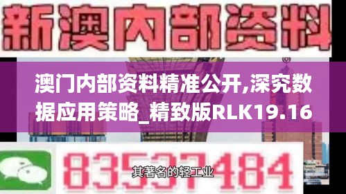 澳门内部资料精准公开,深究数据应用策略_精致版RLK19.16