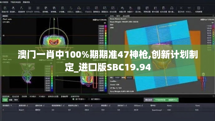 澳门一肖中100%期期准47神枪,创新计划制定_进口版SBC19.94