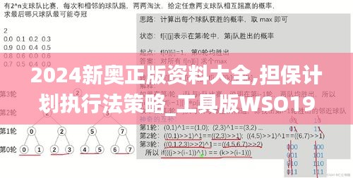 2024新奥正版资料大全,担保计划执行法策略_工具版WSO19.65