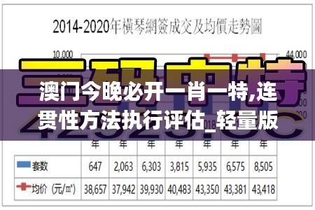 澳门今晚必开一肖一特,连贯性方法执行评估_轻量版PIG19.14