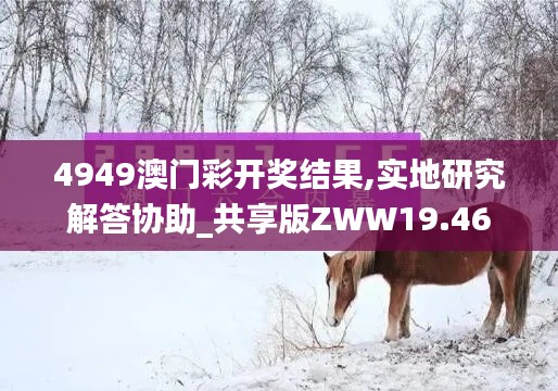 4949澳门彩开奖结果,实地研究解答协助_共享版ZWW19.46