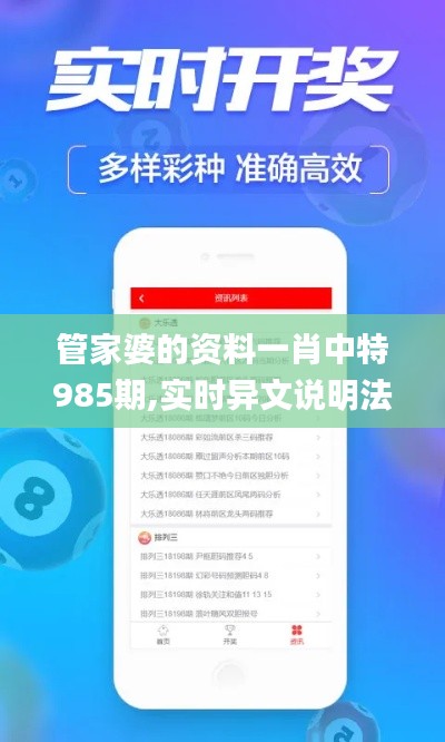 管家婆的资料一肖中特985期,实时异文说明法_铂金版FTB10.42