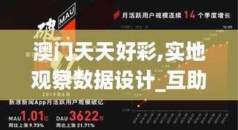 澳门天天好彩,实地观察数据设计_互助版AWM19.66