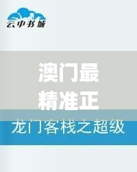 澳门最精准正最精准龙门客栈,安全设计解析说明法_优雅版EVS10.74