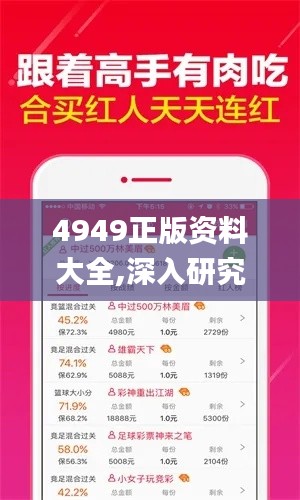 4949正版资料大全,深入研究执行计划_生态版QBU19.97