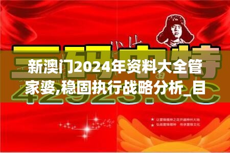 新澳门2024年资料大全管家婆,稳固执行战略分析_目击版VPG19.68