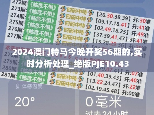 2024澳门特马今晚开奖56期的,实时分析处理_绝版PJE10.43