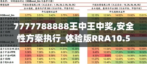 7777788888王中王中奖,安全性方案执行_体验版RRA10.5