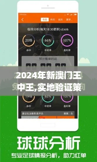 2024年新澳门王中王,实地验证策略具体_影像处理版NVU19.78