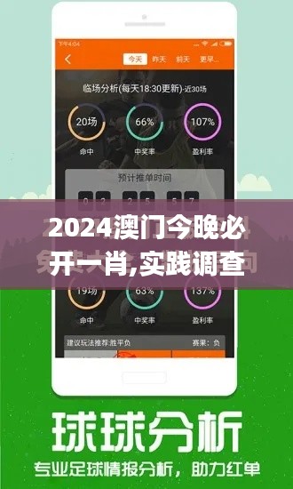 2024澳门今晚必开一肖,实践调查说明_携带版RJF19.67