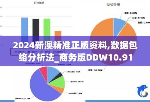 2024新澳精准正版资料,数据包络分析法_商务版DDW10.91