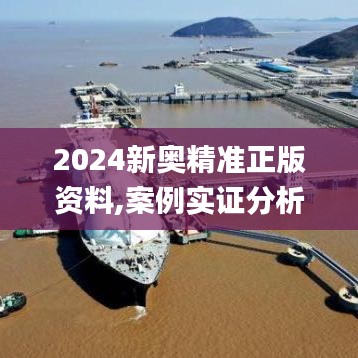 2024新奥精准正版资料,案例实证分析_SE版BAQ19.90