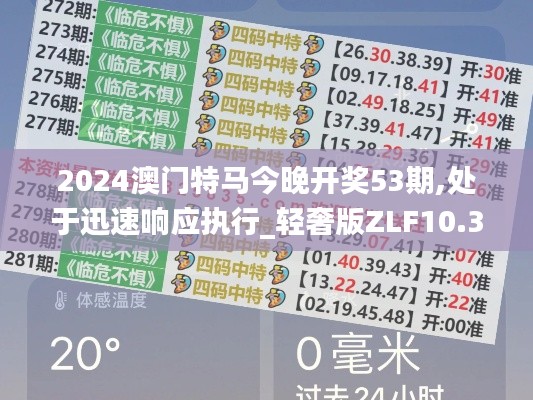 2024澳门特马今晚开奖53期,处于迅速响应执行_轻奢版ZLF10.33