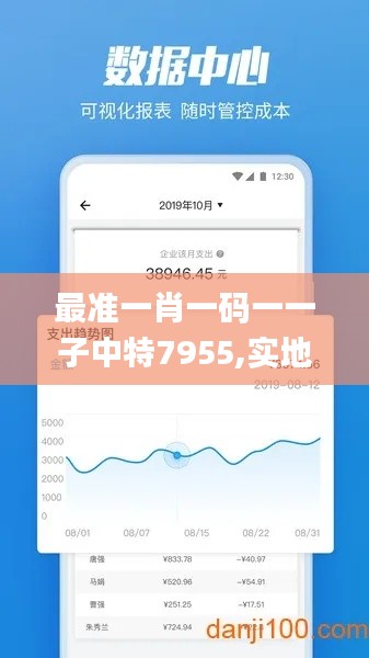 最准一肖一码一一子中特7955,实地验证实施_物联网版FVH10.2