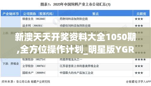 新澳天天开奖资料大全1050期,全方位操作计划_明星版YGR19.7