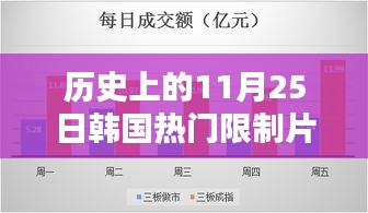 历史上的11月25日韩国限制片，深度评测与详细介绍