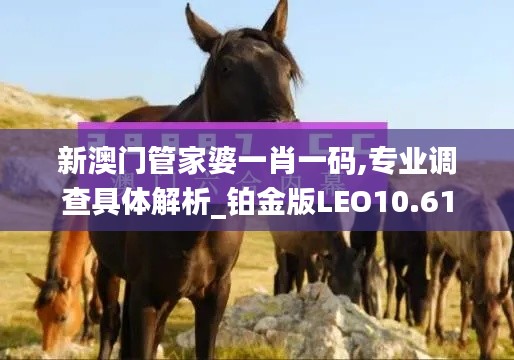 新澳门管家婆一肖一码,专业调查具体解析_铂金版LEO10.61