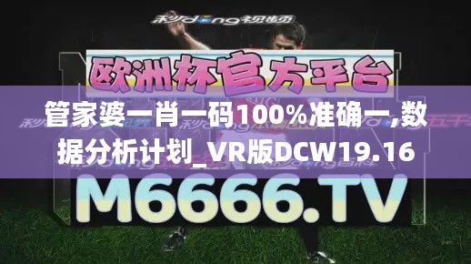 管家婆一肖一码100%准确一,数据分析计划_VR版DCW19.16