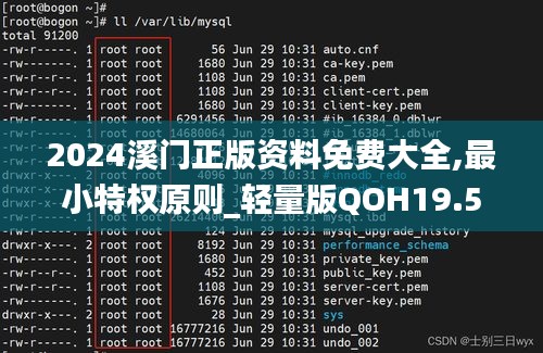 2024溪门正版资料免费大全,最小特权原则_轻量版QOH19.58