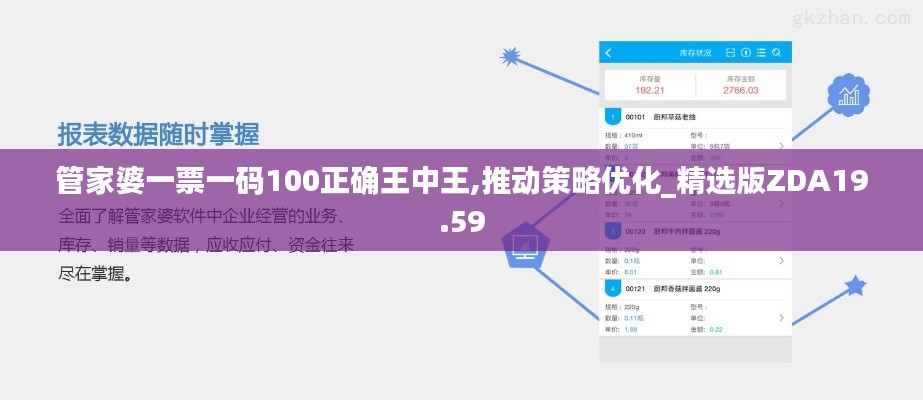 管家婆一票一码100正确王中王,推动策略优化_精选版ZDA19.59